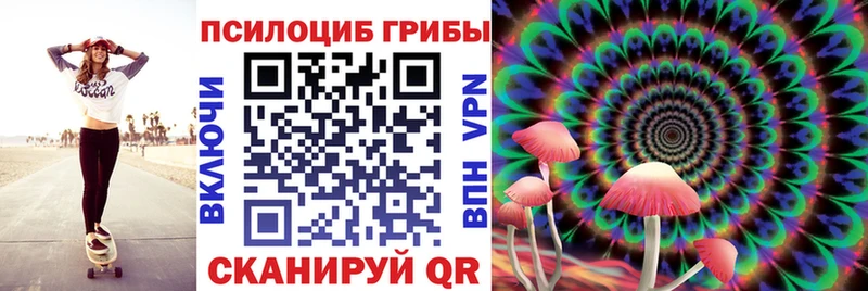 blacksprut ONION  закладки  Судогда  Галлюциногенные грибы мицелий 